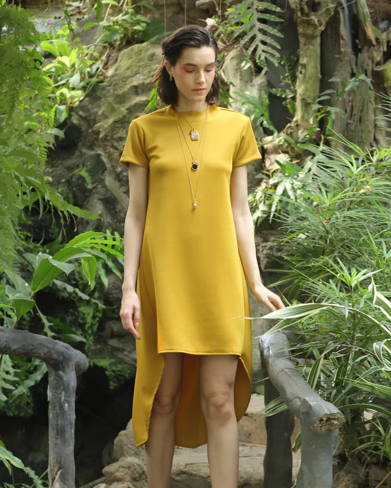 Hartley High-Low Hemline Short Dress